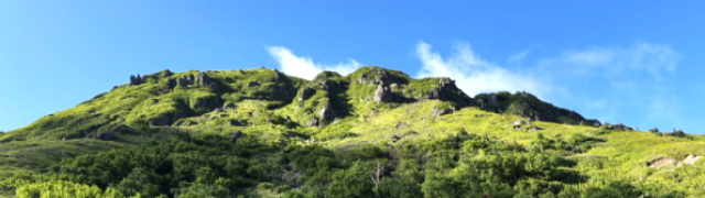 �T���v��